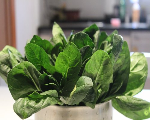 fresh green leafy vegetables
